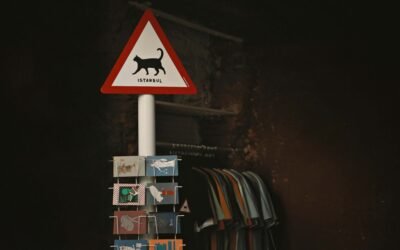 Estambul, la ciudad de los gatos