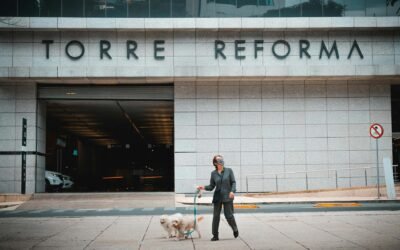 Viajar con perros, la mejor experiencia para disfrutar en compañía