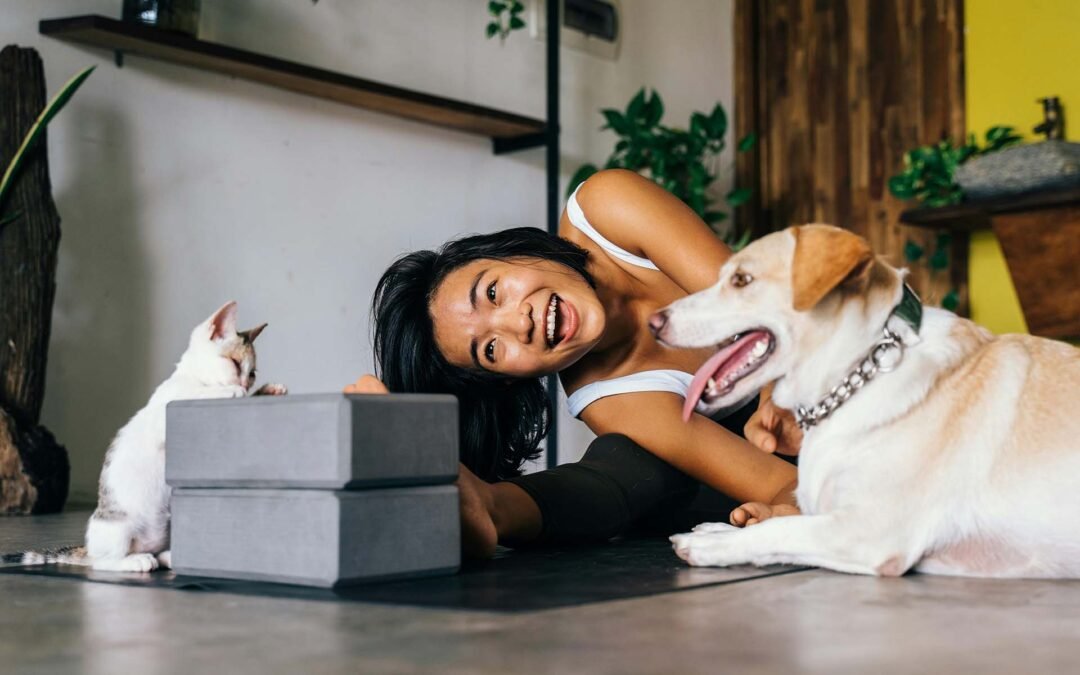 Un delicioso postre para perros y gatos que triunfa en España