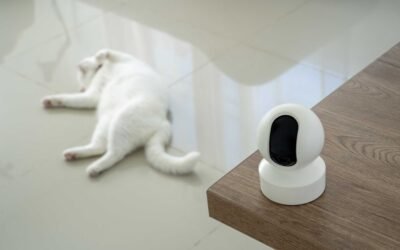 Las Mejores Cámaras para Mascotas 2026